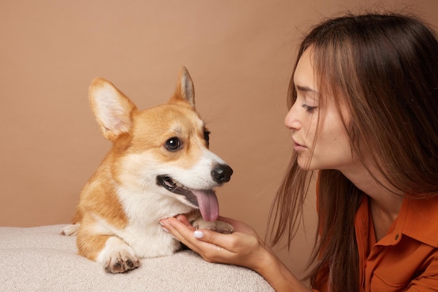 girl holding paw of Pembroke Welsh corgi dog on sofa love for animals