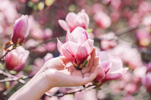 Ragazza che tiene una magnolia primaverile nel parco