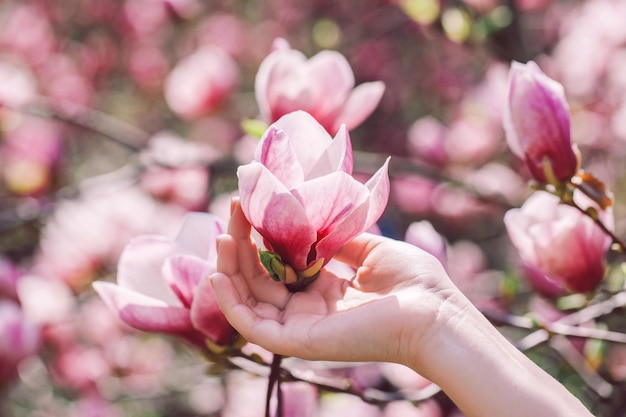 Girl holding a spring magnolia in the park