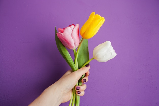 Girl holding tulips in hand 