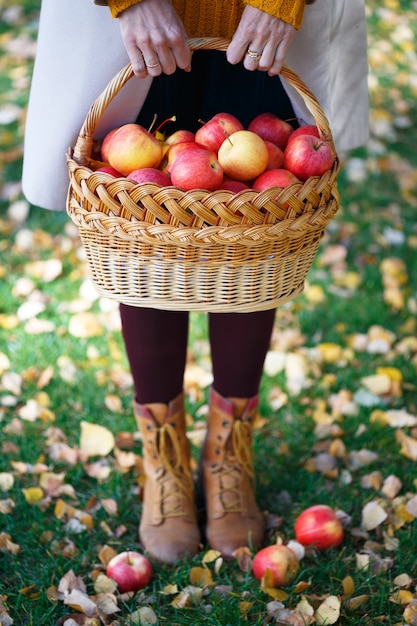 소녀는 정원에서 즙이 많은 사과 바구니를 들고 있다