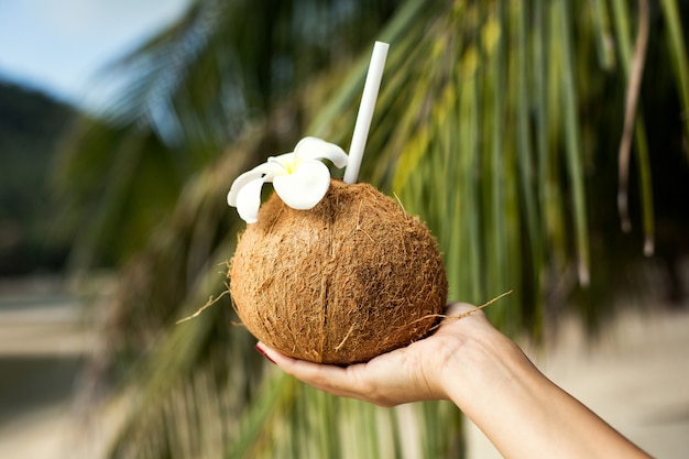 Girl holds a cocktail in a coconut in her hand, against the background of a tropical island.
