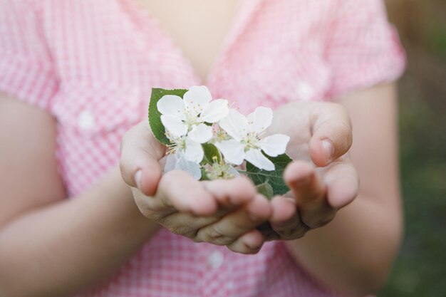 La ragazza tiene i fiori di melo nelle sue mani. messa a fuoco selettiva, sfocatura dello sfondo.