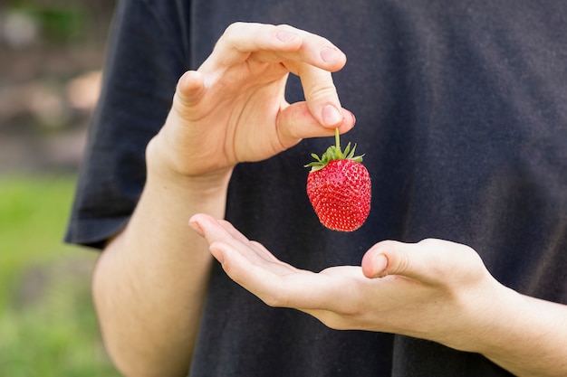 A girl holds a fresh strawberry in her hands Farmed organic food Healthy eating