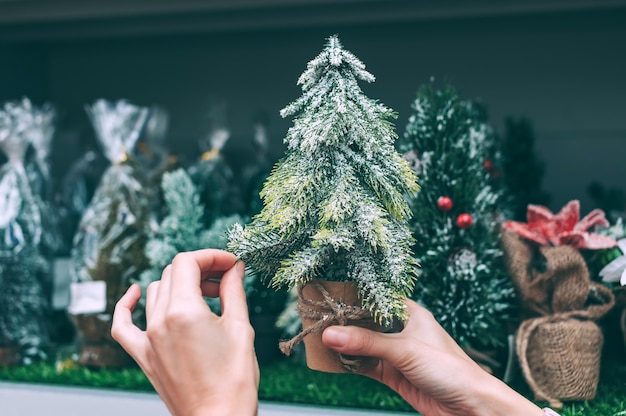 The girl holds in her hands a decorative Christmas, New Year tree.