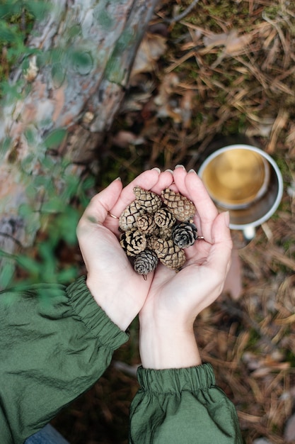 The girl holds pine cones in her hands. the texture of the\
forest. forest details.