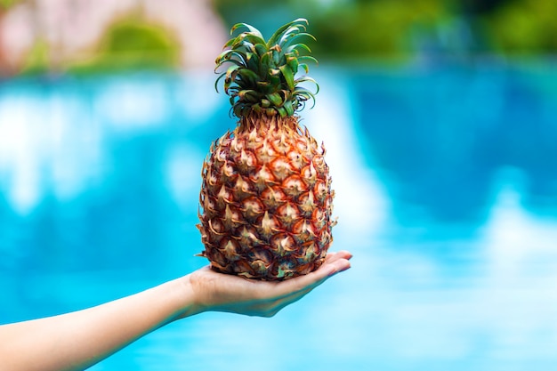 Girl holds ripe pineapple fruit on a background of a pool with blue water. Luxury holidays in the tropics