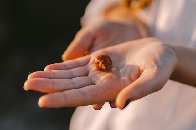 The girl holds a sea inhabitant in a shell on her hand