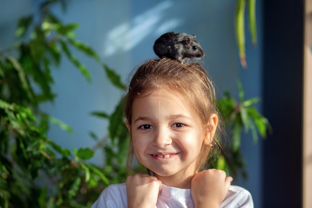 The girl at home plays with her pet a Mongolian gerbil, puts it on her head