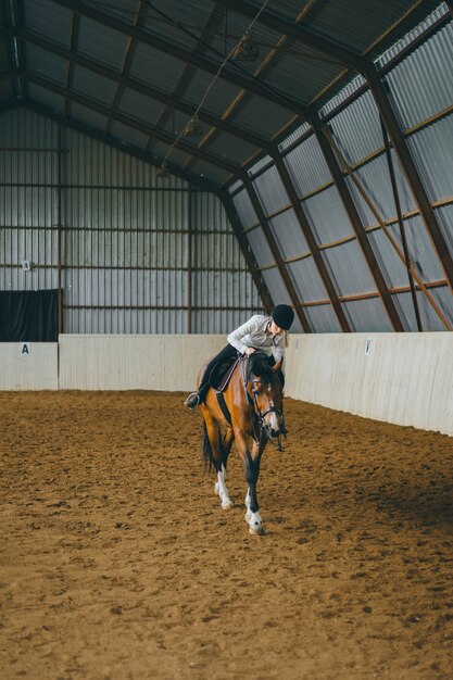 A girl on horseback riding an arena