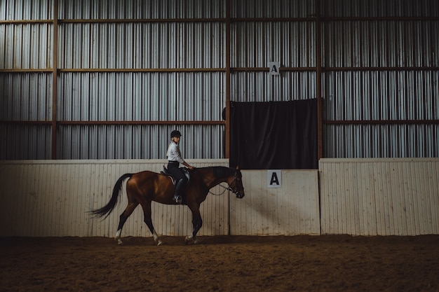 A girl on horseback riding an arena