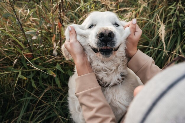 girl hugging white golden retriever dog in the field