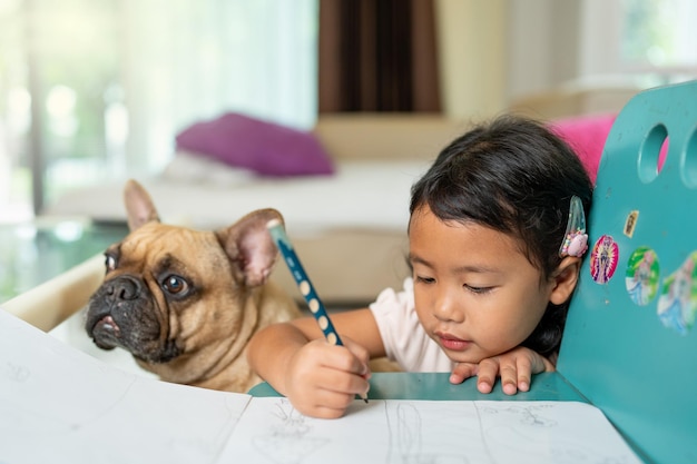 A girl is drawing with a french bulldog on a table.