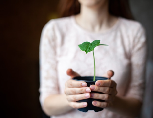 The girl is holding a black pot with a green plant on a dark backgroun