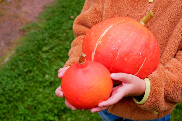 Girl is holding orange pumpkin for jack lantern child preparing for halloween holiday in octobervege