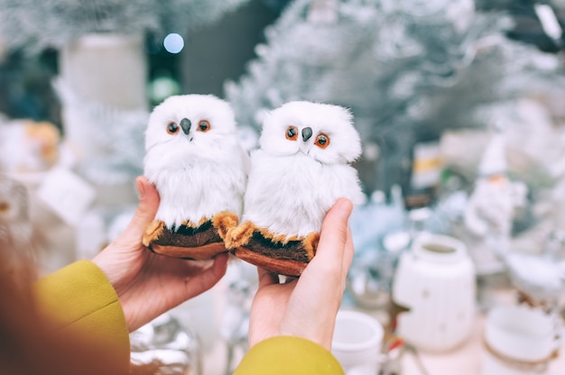 The girl is holding owls in her hands. Against the background of the counter in the store