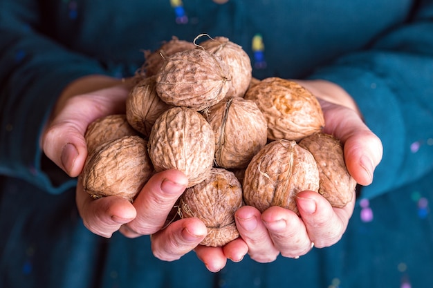 The girl is holding pile of fresh useful walnuts