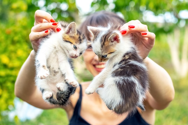 女の子は 2 匹の小さな子猫の皮膚をつかんでいます 子猫は怖くて苦しんでいます 動物への虐待