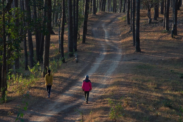 A girl is looking through a forest path to next destination