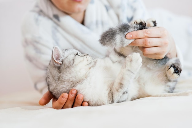 女の子は猫と遊んでいます