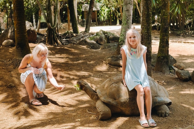 The girl is sitting on a turtle Family feeds giant turtle at Mauritius Island Zoo