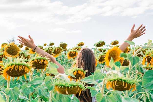 The girl is standing in a field of sunflowers with her back outstretched arms in the rays of the sun