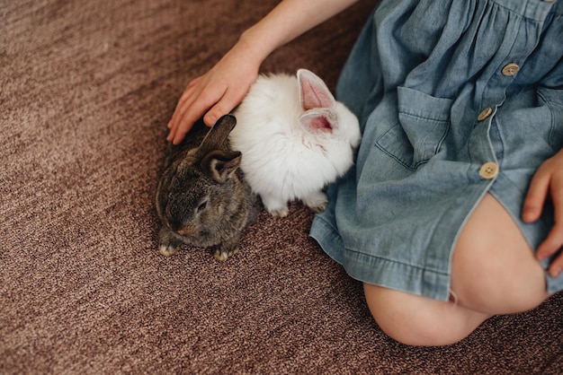 A girl is stroking two rabbits White and gray rabbits Closeup the girl's hands