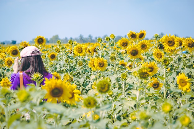 Girl is traveling in Sunflower farm. 