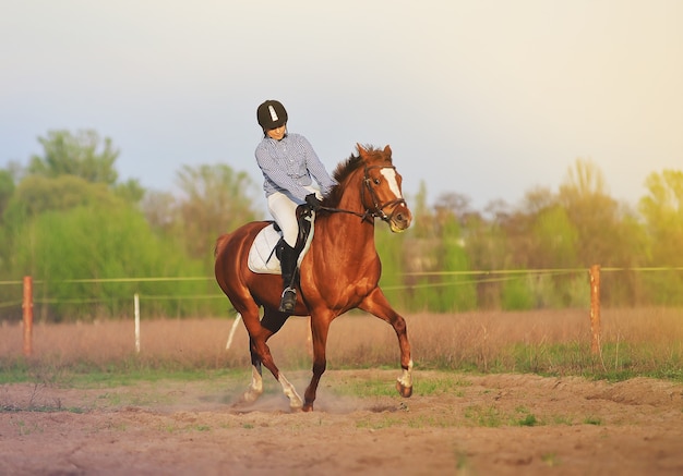 Girl jockey riding a horse