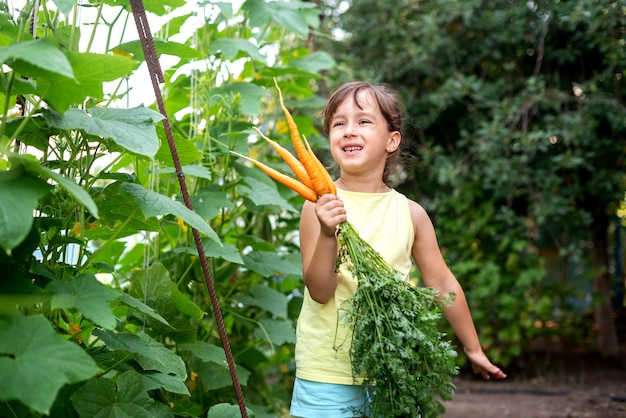 Bambino della ragazza che tiene felicemente carota arancione di raccolta fresca. concetto di verdure biologiche fatte in casa raccolgono carote e barbabietole.