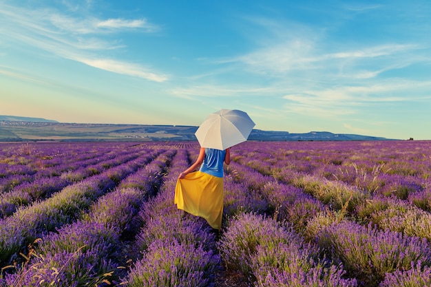 Girl in a lavender field at sunset. Sunny summer evening in Crimea. 