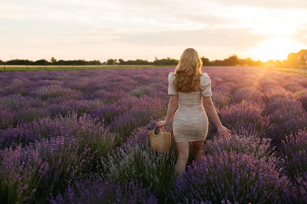 Girl in a lavender field Woman in a field of lavender flowers at sunset in a white dress France Provence