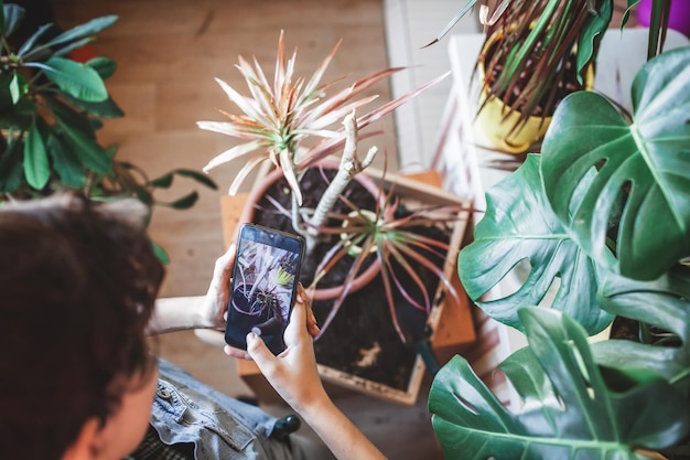 소녀는 발코니 녹색 방 정원에서 소셜 미디어 가정용 식물을 위해 스마트폰으로 사진을 만듭니다.