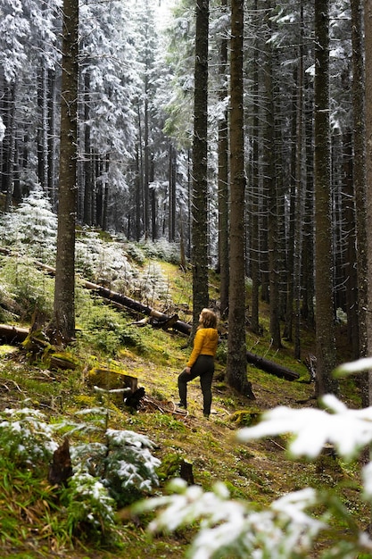 girl in the middle of snowcovered Christmas trees pine tree winter forest travel walks winter