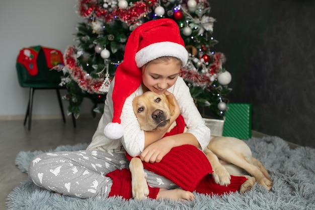 A girl in pajamas and a Santa Claus hat hugs a labrador dog near a Christmas tree in  New Year