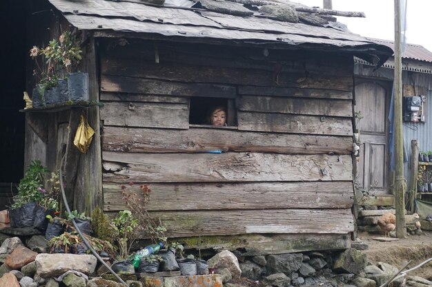 写真 廃墟の木造家の窓から見下ろす少女