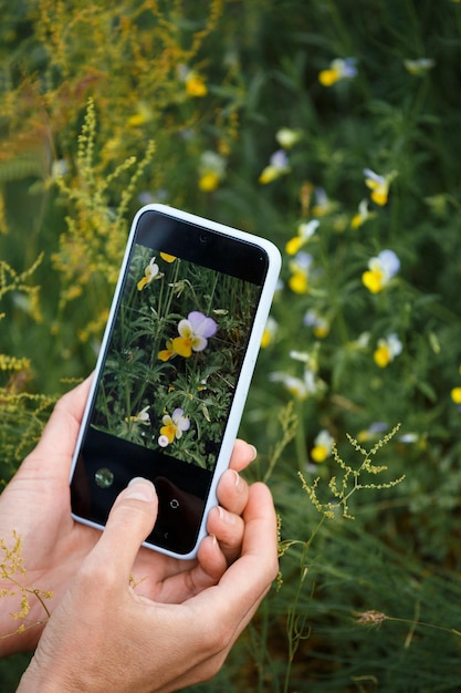 Фотограф-девочка фотографирует весенние цветы на экране смартфона.