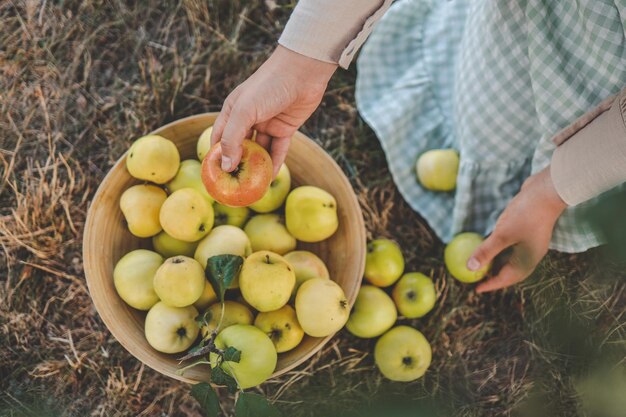 Girl picking apples in the garden autumn aesthetic