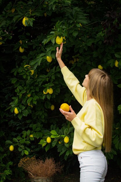 Foto ragazza che raccoglie i limoni in giardino