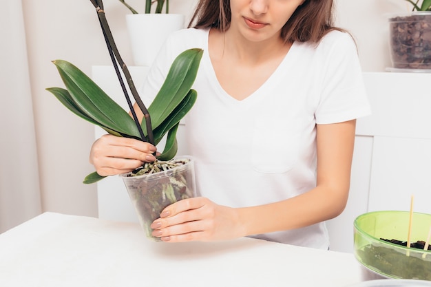 Girl planting flowers in a transparent pot