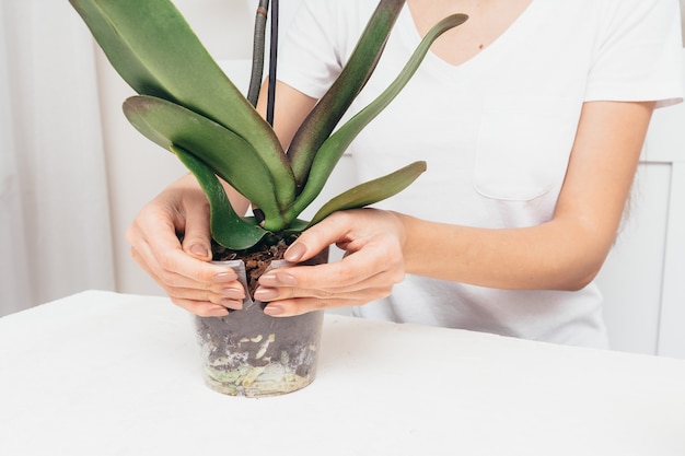 Girl planting flowers in a transparent pot