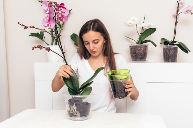 La ragazza che pianta l'orchidea fiorisce in un vaso trasparente