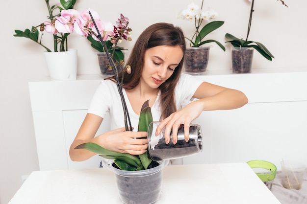 透明な鍋に蘭の花を植える女の子