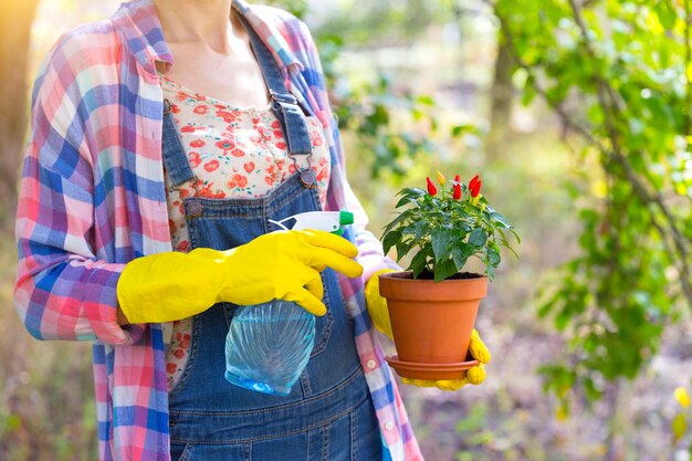 Girl plants a plant