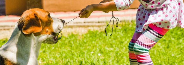 Photo girl playing with dog on field