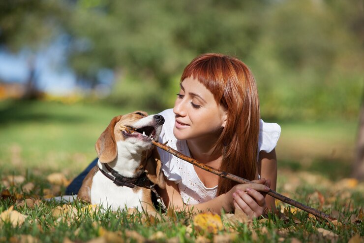 秋の公園で彼女の犬と遊ぶ少女