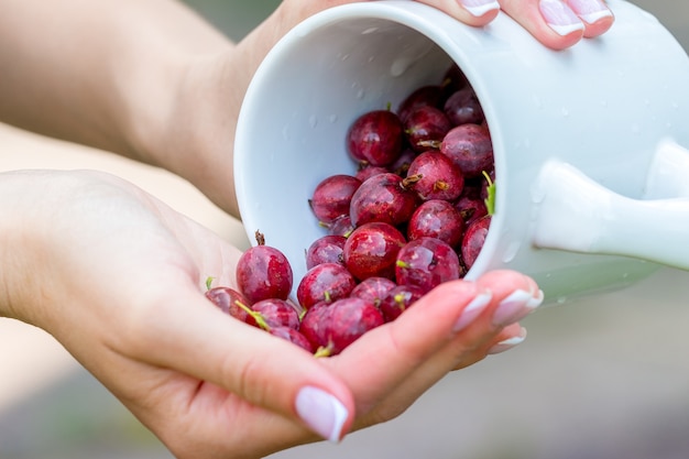 A girl pour on her hand from a mug berries of gooseberries