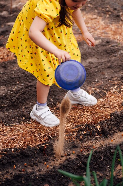 The girl pours fertilizer and sand on a bed with vegetables in the garden the girl helps with planti...