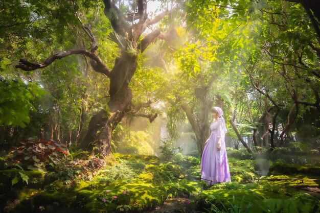 Foto ragazza in un vestito di principessa è in una misteriosa foresta profonda con alberi fiori e cascate nel bac