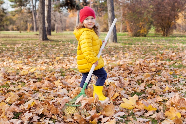 girl  rakes in pile of autumn maple leaves in the backyard